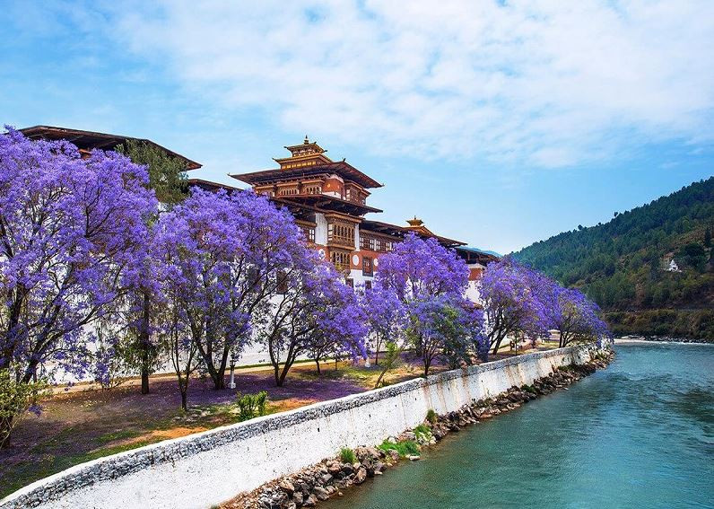 Review tour Hải Đăng, Review tour Bhutan, Hải Đăng Travel